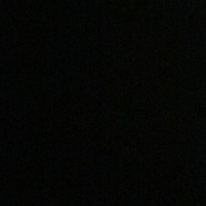 Meet your Posher, Brady